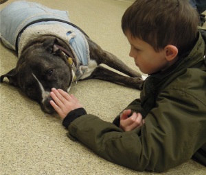 From a parent: "Turner has had a fear of dogs in the past. We were very happy to see how calm he was around Ruby." 